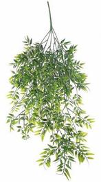 LEUKE GROENE TAK - KUNST - HANGING GARDEN, Ophalen of Verzenden, Nieuw