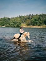 Sprookjespaard Billie, Dieren en Toebehoren, Pony's, Ruin, Recreatiepony