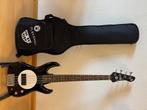 Flea Bass Shortscale "The Wild One", Ophalen, Gebruikt