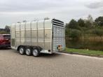 Veetrailer Ifor Williams 3 asser NIEUW, Auto diversen, Aanhangers en Bagagewagens, Ophalen, Nieuw