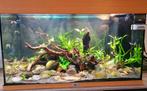 Diverse Aquaria en toebehoren, Dieren en Toebehoren, Ophalen, Gebruikt, Overige typen