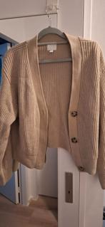 Kort beige vestje - Maat M, Kleding | Dames, Truien en Vesten, Maat 38/40 (M), H&M, Beige, Ophalen of Verzenden