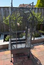 Papegaaienkool Strong Villa Anna, Dieren en Toebehoren, Vogels | Hokken en Kooien, Ophalen of Verzenden, Zo goed als nieuw, Metaal