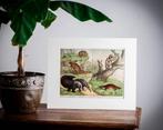 Dierenprent luiaard, miereneter | decoratie kinderkamer, Antiek en Kunst, Verzenden