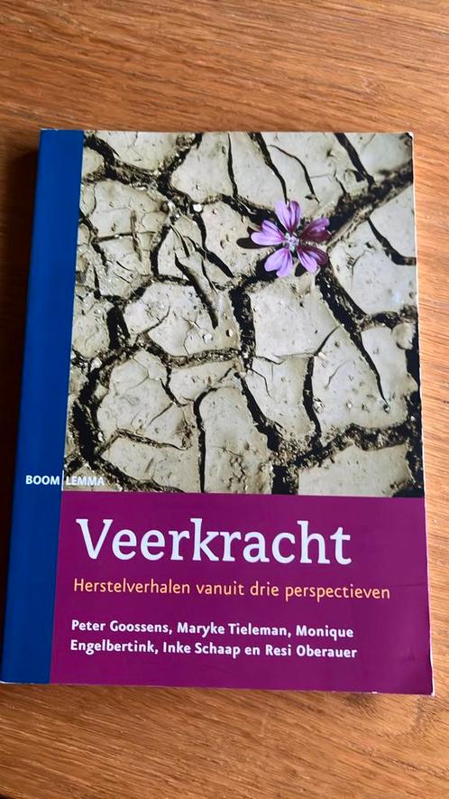 Peter Goossens - Veerkracht, Boeken, Politiek en Maatschappij, Zo goed als nieuw, Maatschappij en Samenleving, Nederland, Verzenden