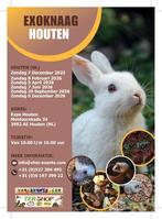 Exoknaag&Terraria Houten 07-12-2025 Nederlands grootste, Dieren en Toebehoren, Knaagdieren, December, Meerdere dieren, Overige typen