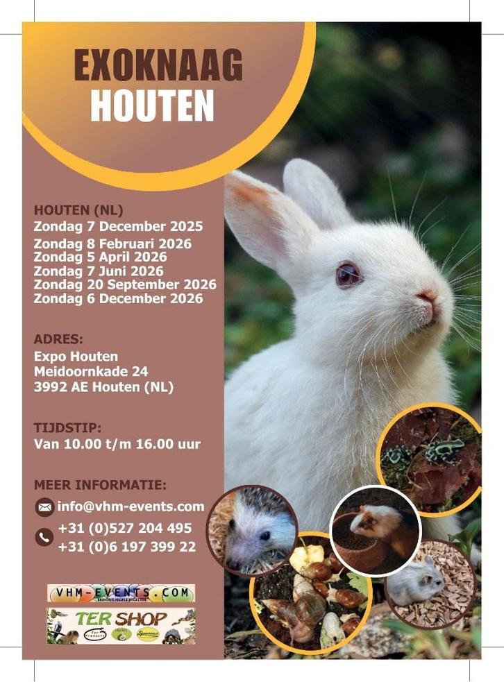 Exoknaag&Terraria Houten 07-12-2025 Nederlands grootste, Dieren en Toebehoren, Knaagdieren, Meerdere dieren, Overige typen, December