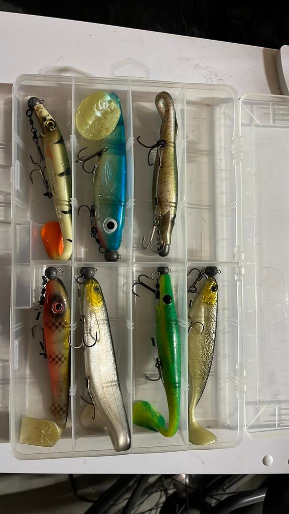 Partij grote gerigde shads, Ophalen of Verzenden, Zo goed als nieuw, Overige typen