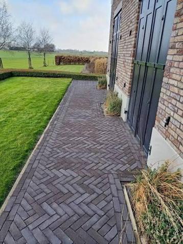 Gebakken dikformaat nero beschikbaar voor biedingen