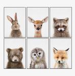 Posters baby dieren, Ophalen, Minder dan 50 cm, Zo goed als nieuw, Foto of Poster