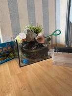 Diverse aquarium benodigdheden, Dieren en Toebehoren, Vissen | Aquaria en Toebehoren, Ophalen, Zo goed als nieuw