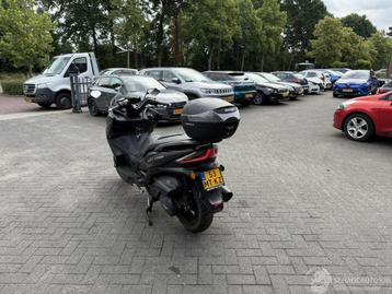 Mash Belena 300 (bj 2023) beschikbaar voor biedingen