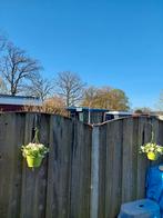 Gratis Schutting + trelley gaasscherm, Tuin en Terras, Ophalen, 6 meter of meer, Hout, 1 tot 2 meter