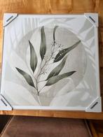 Nieuw Schilderij/Print 50x50cm, Huis en Inrichting, Woonaccessoires | Schilderijen, Tekeningen en Foto's, 50 tot 75 cm, Nieuw