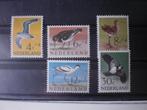Nederland - Vogels- Postfris, Postzegels en Munten, Postzegels | Nederland, Verzenden, Na 1940, Postfris