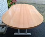 Tafel, vergader, eet, bureau ovaal 200x100, Ophalen, Gebruikt, 200 cm of meer, 50 tot 100 cm
