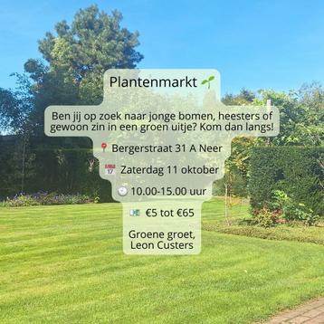 Plantenmarkt in Neer - 11 oktober! beschikbaar voor biedingen