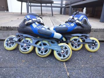 Stone tyro skeelers mt 41/42 beschikbaar voor biedingen