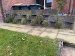 Cirkelflor Tuinmuur - Beplantbaar & Stijlvol!, Tuin en Terras, Tuinhekken en Hekwerk, Ophalen, Gebruikt, Overige materialen, Overige typen