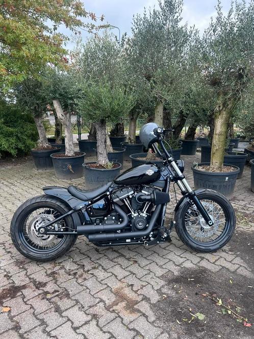 Hele dikke Harley davidson streetbob 2019  15911km, Motoren, Motoren | Harley-Davidson, Particulier, Chopper, Ophalen