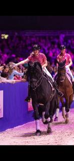 ️ Te koop: 2 tickets voor Horse Event Superstars, Tickets en Kaartjes, Evenementen en Festivals, Twee personen