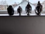 4x boeddha waaronder 1 wax melt brander, Ophalen of Verzenden