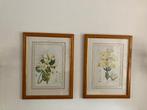 Laura Ashley schilderijen botanische bloem 2 stuks vintage, Antiek en Kunst, Ophalen