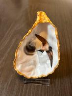 Zwaluw in een oester, uniek origineel cadeau., Meerdere dieren, Tropenvogel