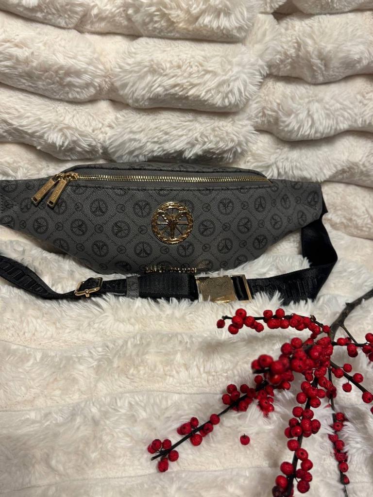 Zgan Buideltasje van Carlo Colucci Grijs logo, Ophalen of Verzenden, Zo goed als nieuw, Grijs, Overige materialen