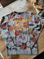 cars jeans trui, maat 176, Kinderen en Baby's, Kinderkleding | Maat 176, Gebruikt, Trui of Vest, Ophalen of Verzenden, Cars jeans