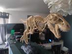 T-Rex 3D Geprint Skelet Model, Overige merken, Nieuw, Ophalen of Verzenden, Groter dan 1:32