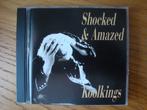 KoolKings (Alex Chilton) - Shocked & Amazed (blues rock), Ophalen of Verzenden, Gebruikt, Poprock