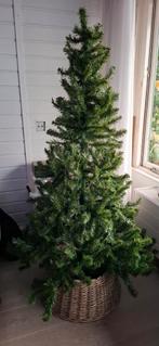 Kerstboom te koop 180 cm, Ophalen