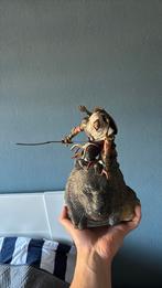 Assassins Creed Origins Bayek beeld/Statue, Spelcomputers en Games, Games | Overige, Avontuur en Actie, Vanaf 18 jaar, 1 speler