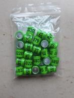 Duiven ringen 2026, Meerdere dieren, Postduif