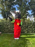 Te Huur: Bing-kostuum, Mascotte, Verkleedkleding, Ophalen of Verzenden, Zo goed als nieuw, Overige