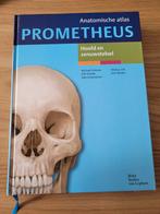 Prometheus Anatomische Atlas - Hoofd en Zenuwstelsel, Gelezen, Beta, Michael Schünke, HBO