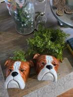 Quail muurvaas Bulldog 2x, Ophalen of Verzenden