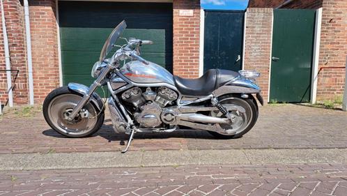 Ze rijdt als een beest. Staat hier als een plant. HD v-rod, Motoren, Motoren | Harley-Davidson, Particulier, Chopper, meer dan 35 kW