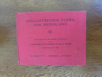 Geïllustreerde Flora van Nederland Heimans Heinsius Thijsse  beschikbaar voor biedingen