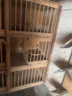 Broedhokken, Dieren en Toebehoren, Vogels | Duiven, Meerdere dieren, Postduif