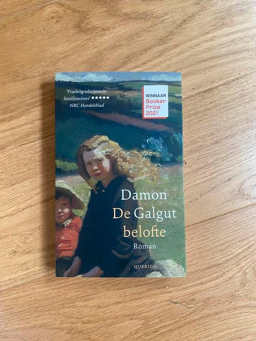 Damon Galgut - De belofte, Boeken, Literatuur, Zo goed als nieuw, Nederland, Ophalen of Verzenden