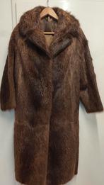 Bruine Dasco nertsjas voor dames, maat medium, Canadees, Maat 38/40 (M), Bruin, Ophalen of Verzenden, Onbekend