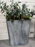 Twee grote vazen, Overige kleuren, 50 tot 75 cm, Ophalen of Verzenden, Glas