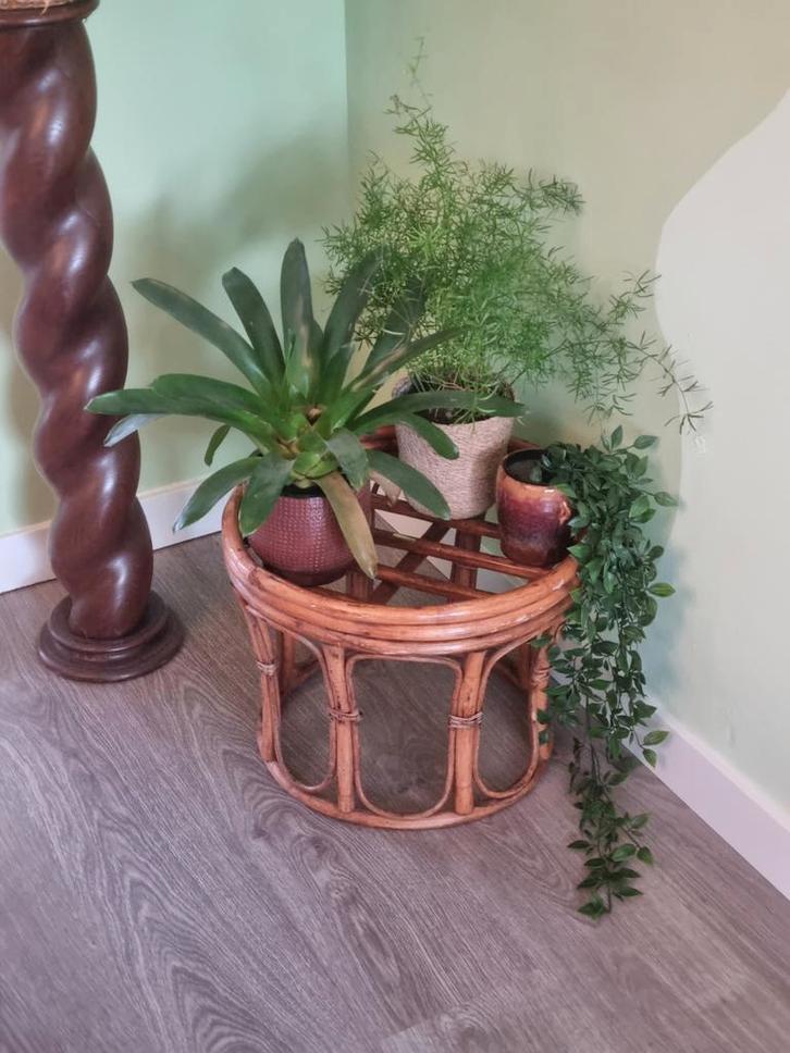 Rotan plantentafeltje, Huis en Inrichting, Woonaccessoires | Zuilen en Pilaren, Zo goed als nieuw, Ophalen of Verzenden