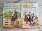 Ponyclub De Bokkesprong - Inge Neefelman, Ophalen of Verzenden, Gelezen, Fictie algemeen