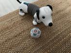 Robot hond Robo Dackel, Ophalen of Verzenden, Zo goed als nieuw, Jongen of Meisje