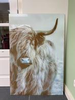 Glasschilderij Ter Halle Schotse Hooglander, zeer mooi!!, Huis en Inrichting, Ophalen, Minder dan 50 cm, Zo goed als nieuw, Schilderij