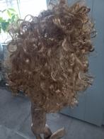 Pruik carnaval, Kleding | Dames, Carnavalskleding en Feestkleding, Ophalen, Zo goed als nieuw, Carnaval