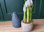 Kunst tulpen wit op grijze overpot, Huis en Inrichting, Woonaccessoires | Kunstplanten en Kunstbloemen, *, *, Nieuw, Ophalen of Verzenden